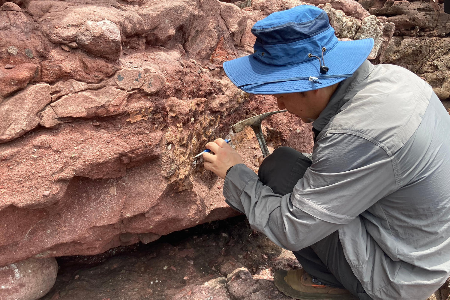 Hong Kong discovers dinosaur fossils for the first time