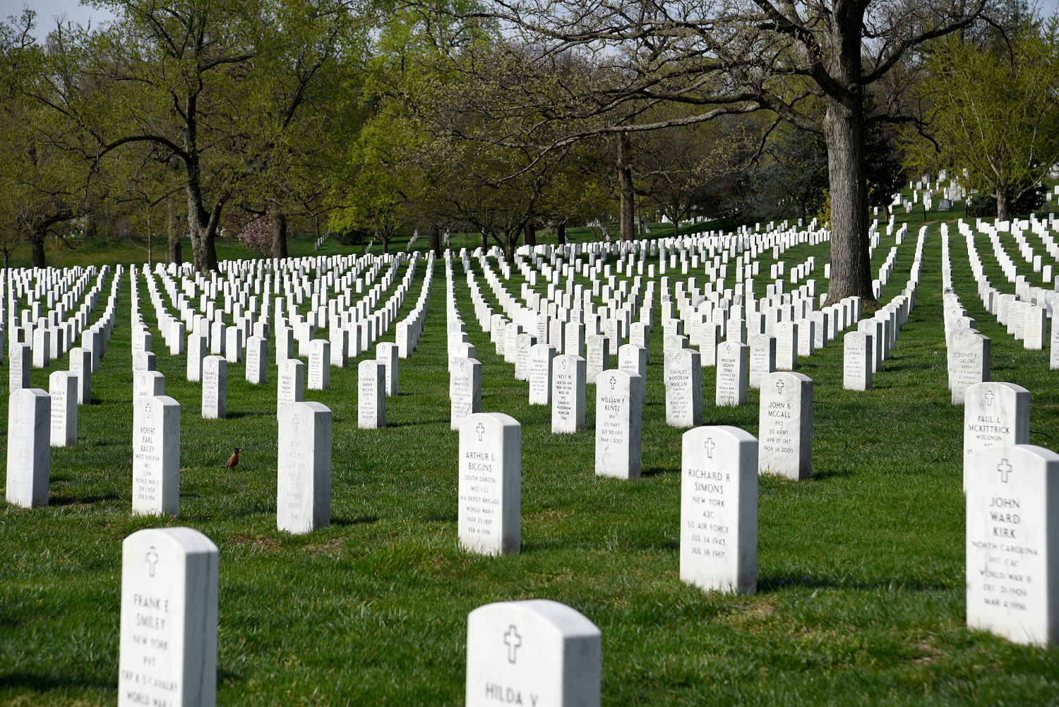 241025 arlington cemetery 2018 ac 619p 3ed3ec