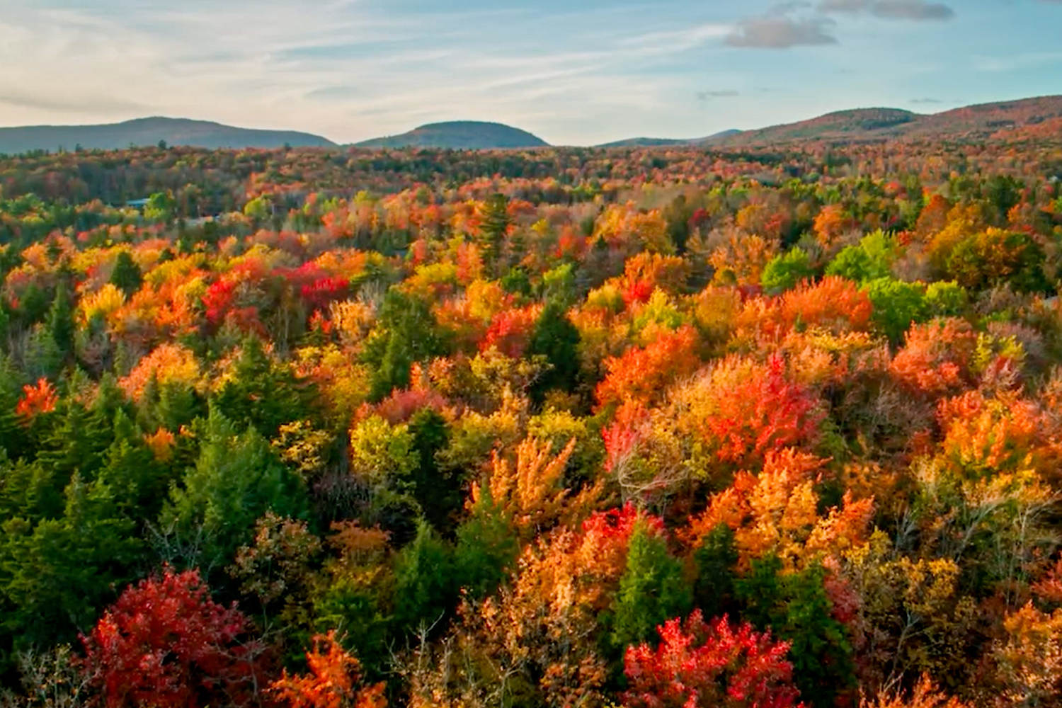 Colorblind viewfinders in Virginia parks allow guests to experience fall foliage in full color