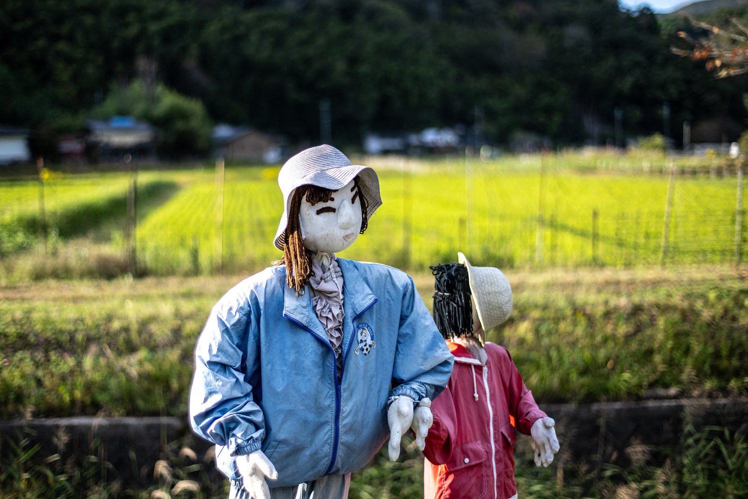 'Outnumbered by puppets': Depopulated village in Japan crafts dolls for sense of life