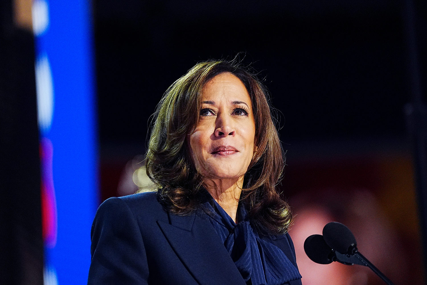 Kamala Harris pairs anti-Trump attack with economic pitch at packed DC rally