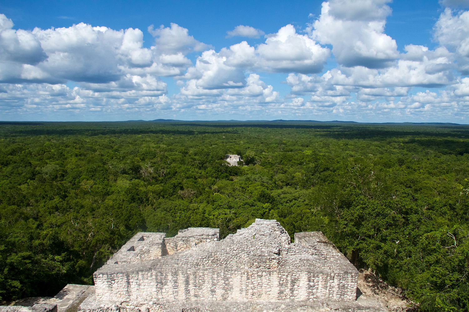 Vast ancient Mayan city is found in a Mexican jungle — by accident