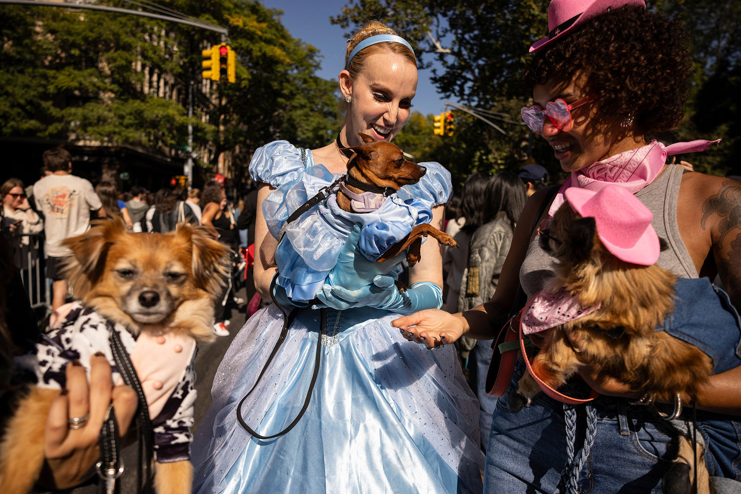 Halloween chills are out as record-high temperatures are expected across the country