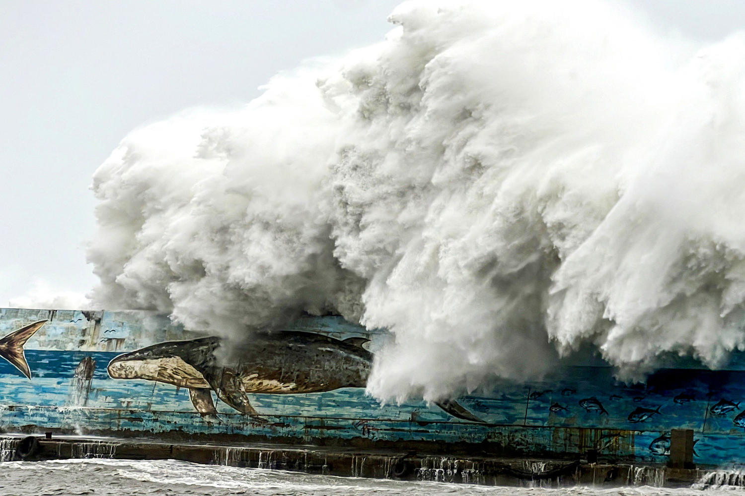 Taiwan shuts down as Typhoon Kong-rey makes landfall