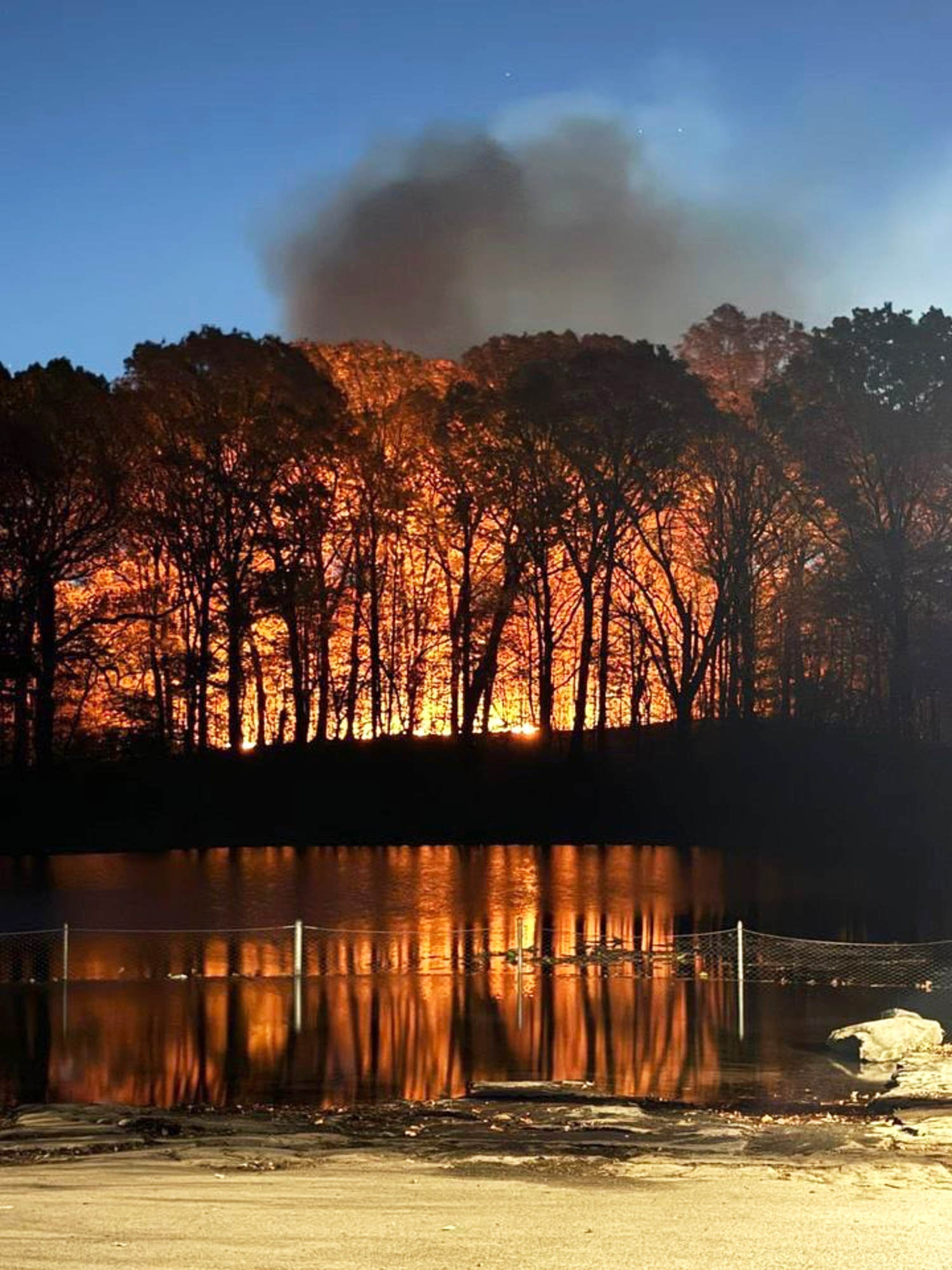 Brush fire breaks out in Brooklyn's Prospect Park as Northeast drought continues