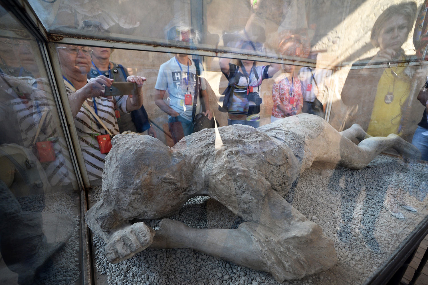 Pompeii DNA evidence contradicts long-held assumptions about victims buried in ash