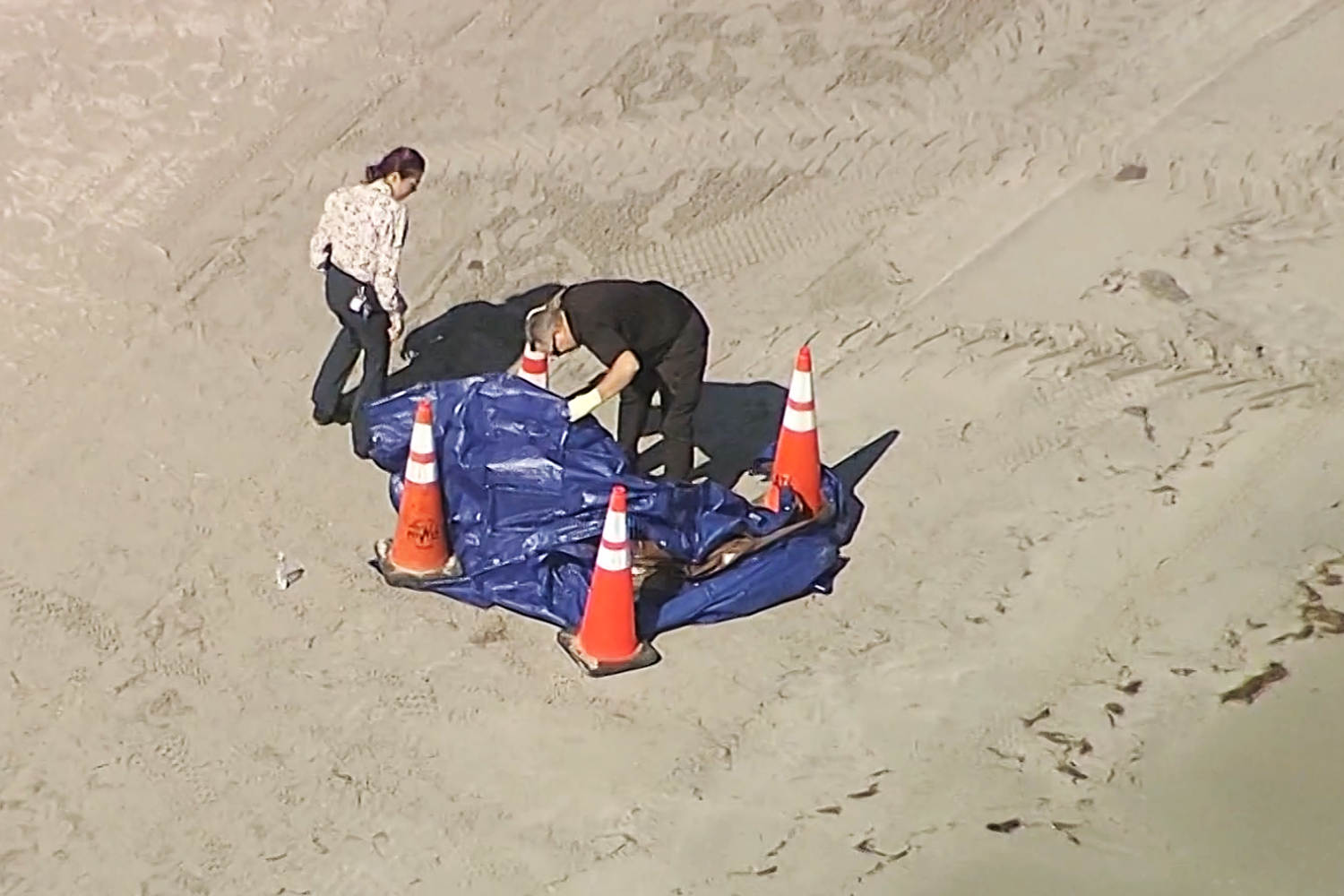 Human head floats ashore in South Florida