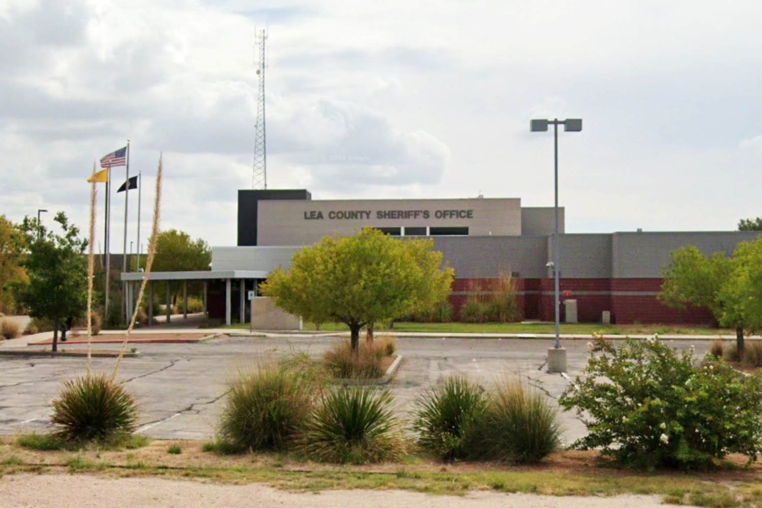 Parts of human skulls and other remains found in New Mexico in case tied to missing woman