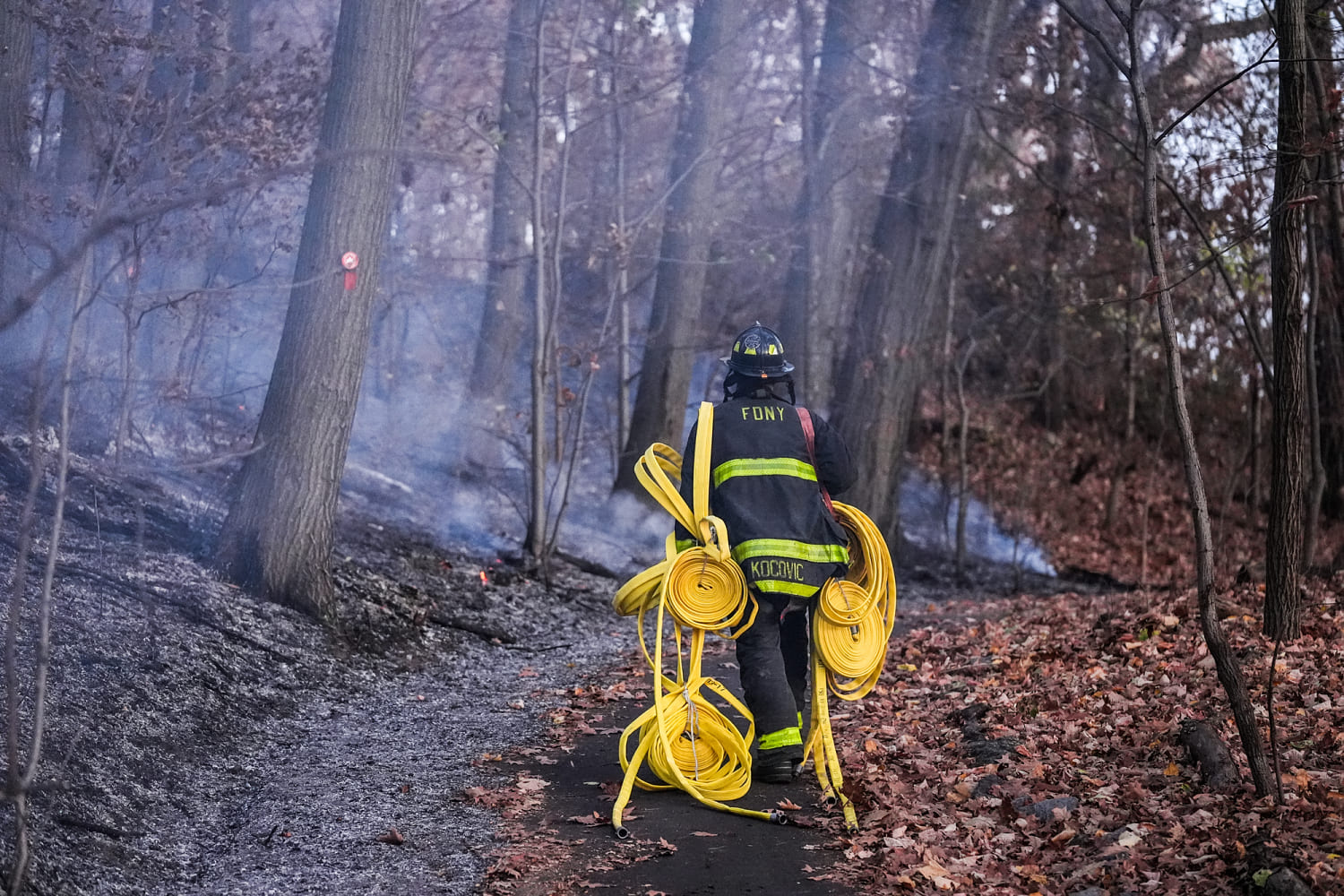 Dry weather and wind contributing to  elevated wildfire conditions throughout Northeast