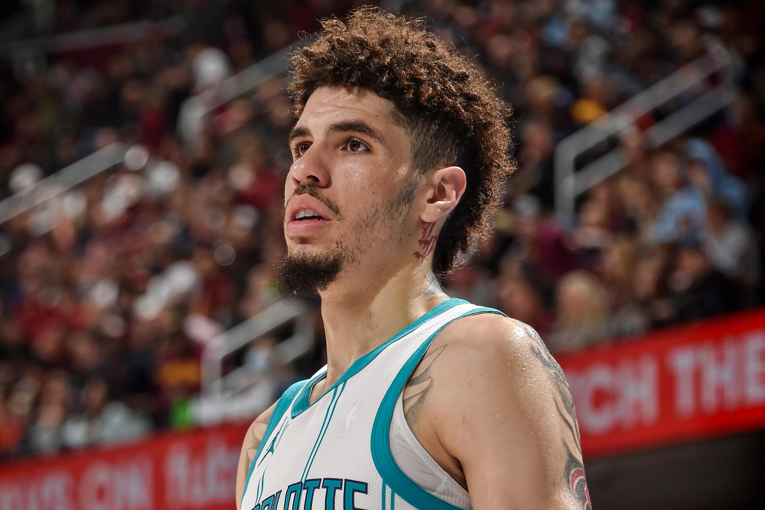 Hornets star LaMelo Ball fined $100K for anti-gay phrase