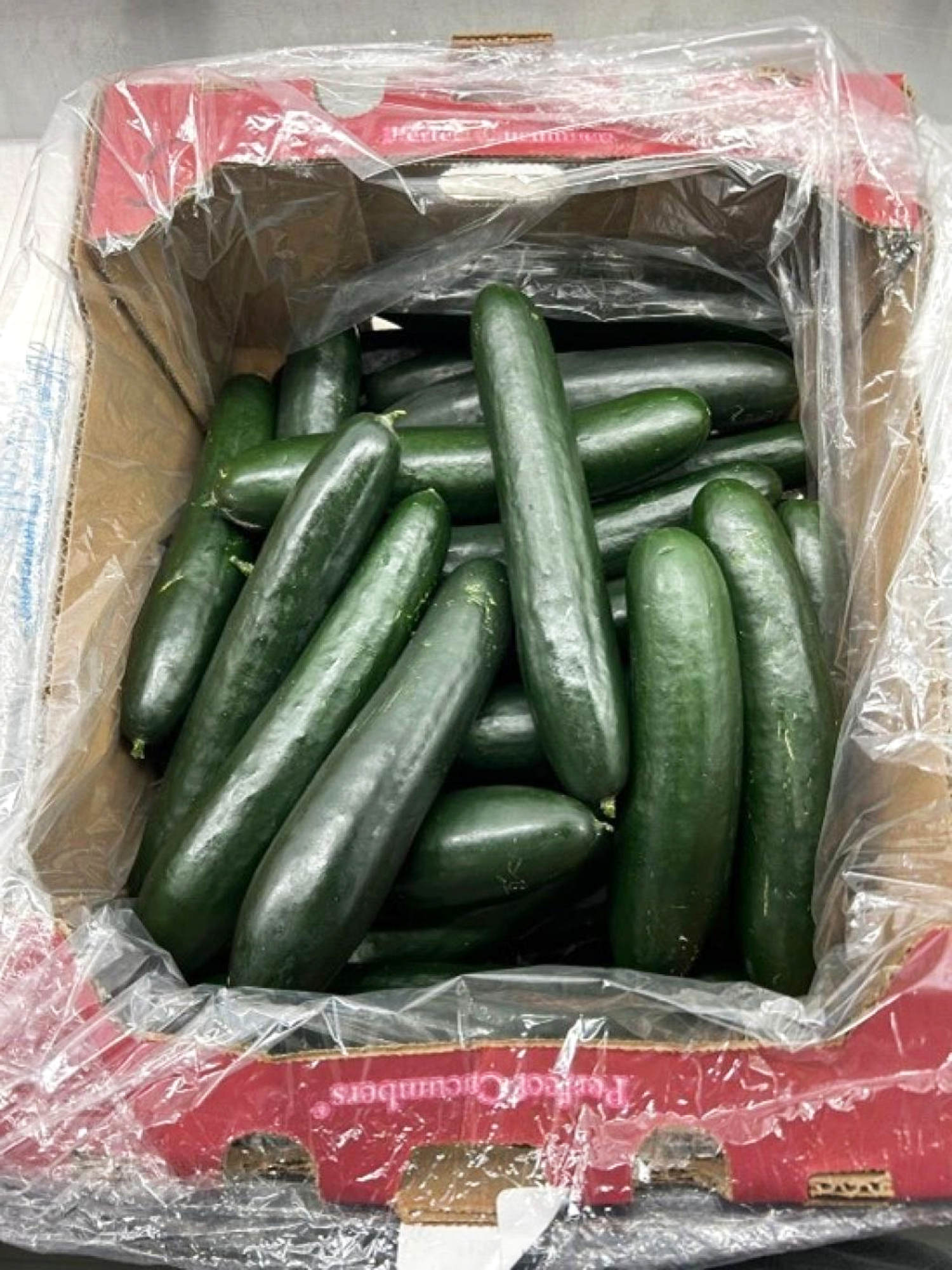 Cucumbers recalled in 26 states over possible salmonella contamination