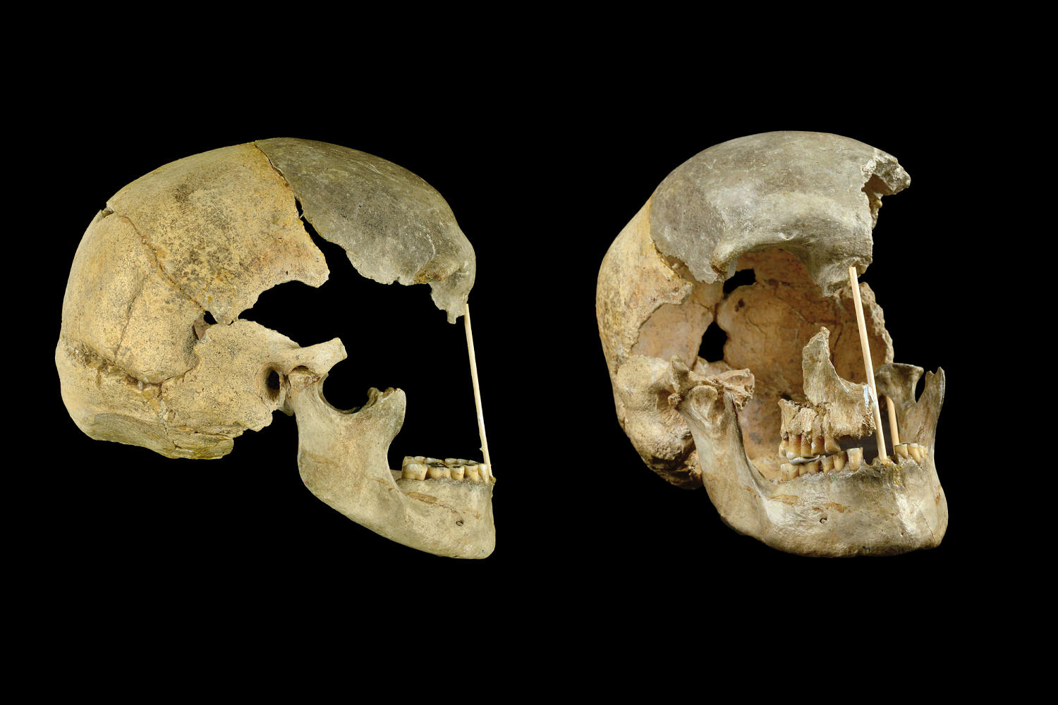 When did Neanderthals interbreed with ancient humans? New research sheds light on our ancestry