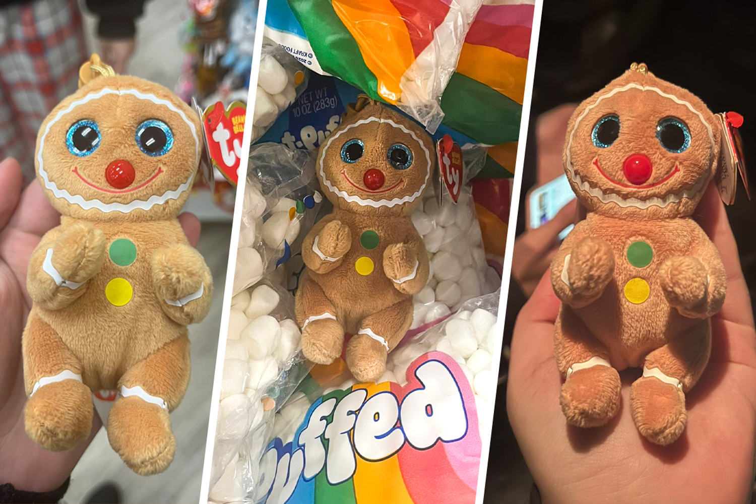 Cookie the Ty gingerbread plushie steals people's hearts online