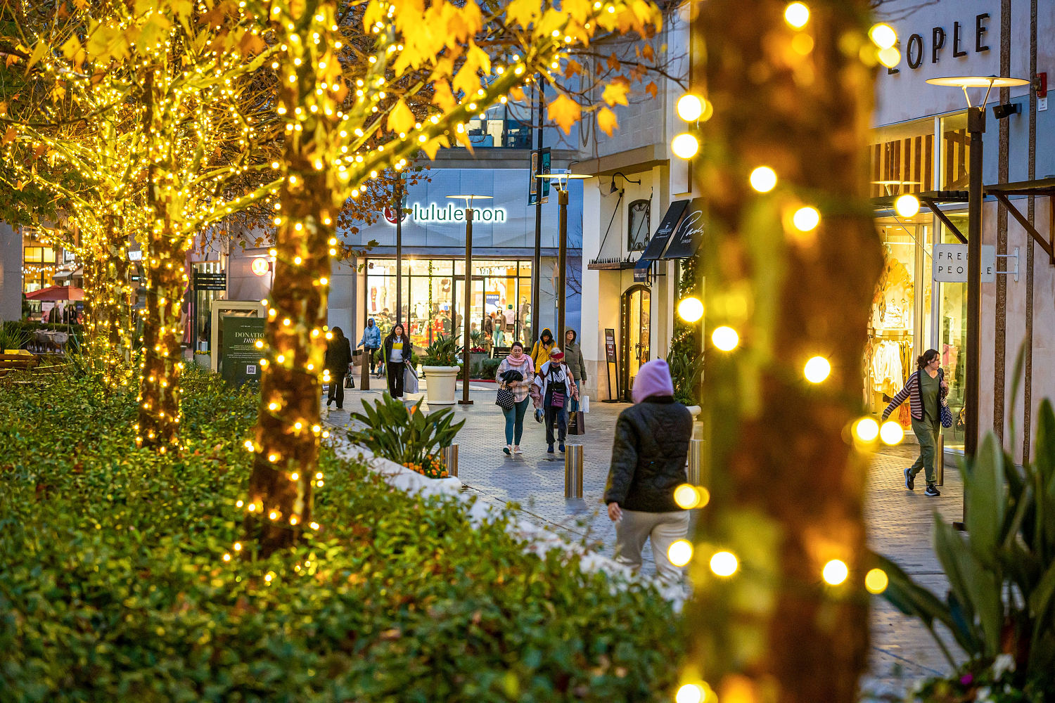 From trees to decorative chickens, holiday decor could boost retailers as shoppers pull back on gifts