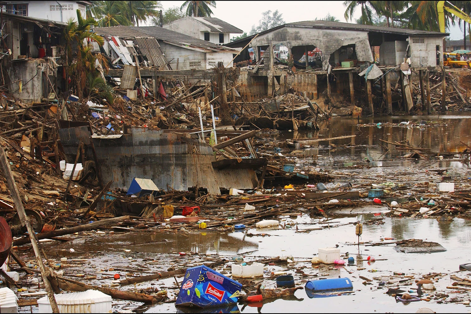 20 years after a devastating tsunami, a survivor celebrates what the disaster has given him