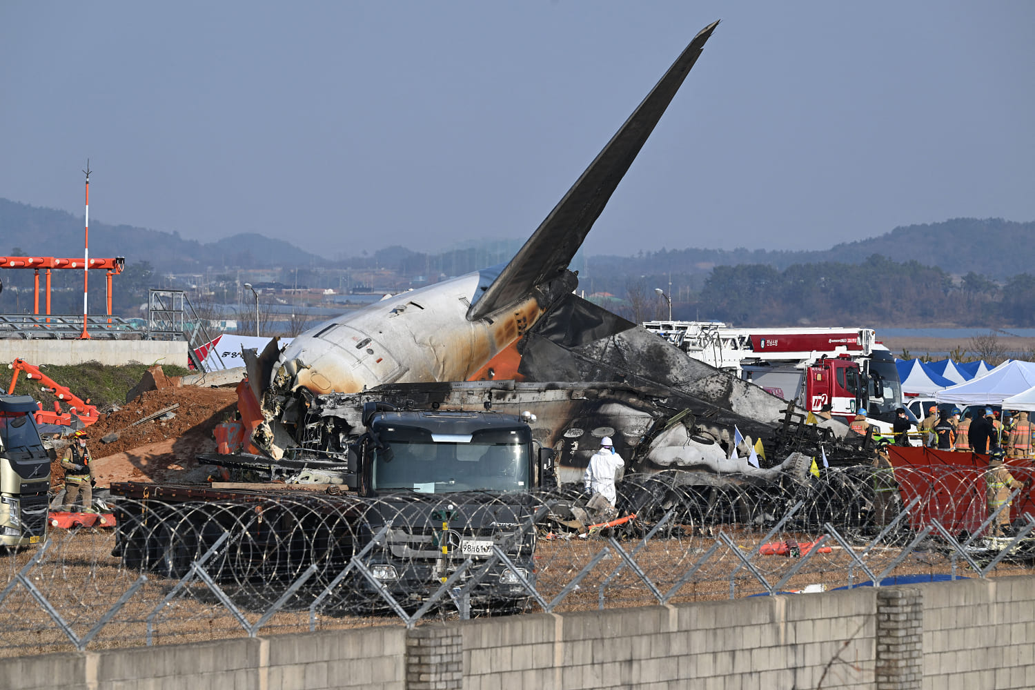 Duck DNA in both engines of Jeju Air plane that crashed, report says