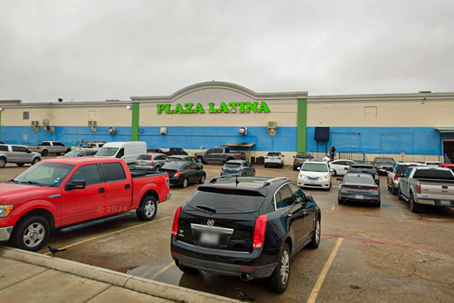 Over 500 animals killed by smoke inhalation in Dallas shopping mall fire