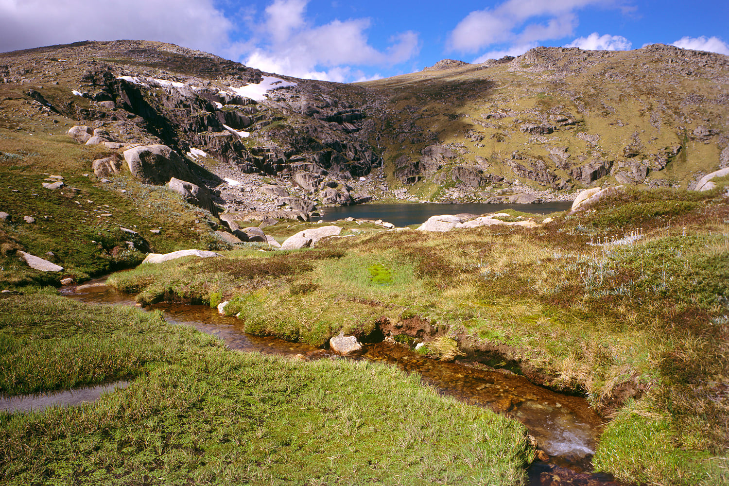 Missing Australian hiker found after surviving two weeks on muesli bars and berries