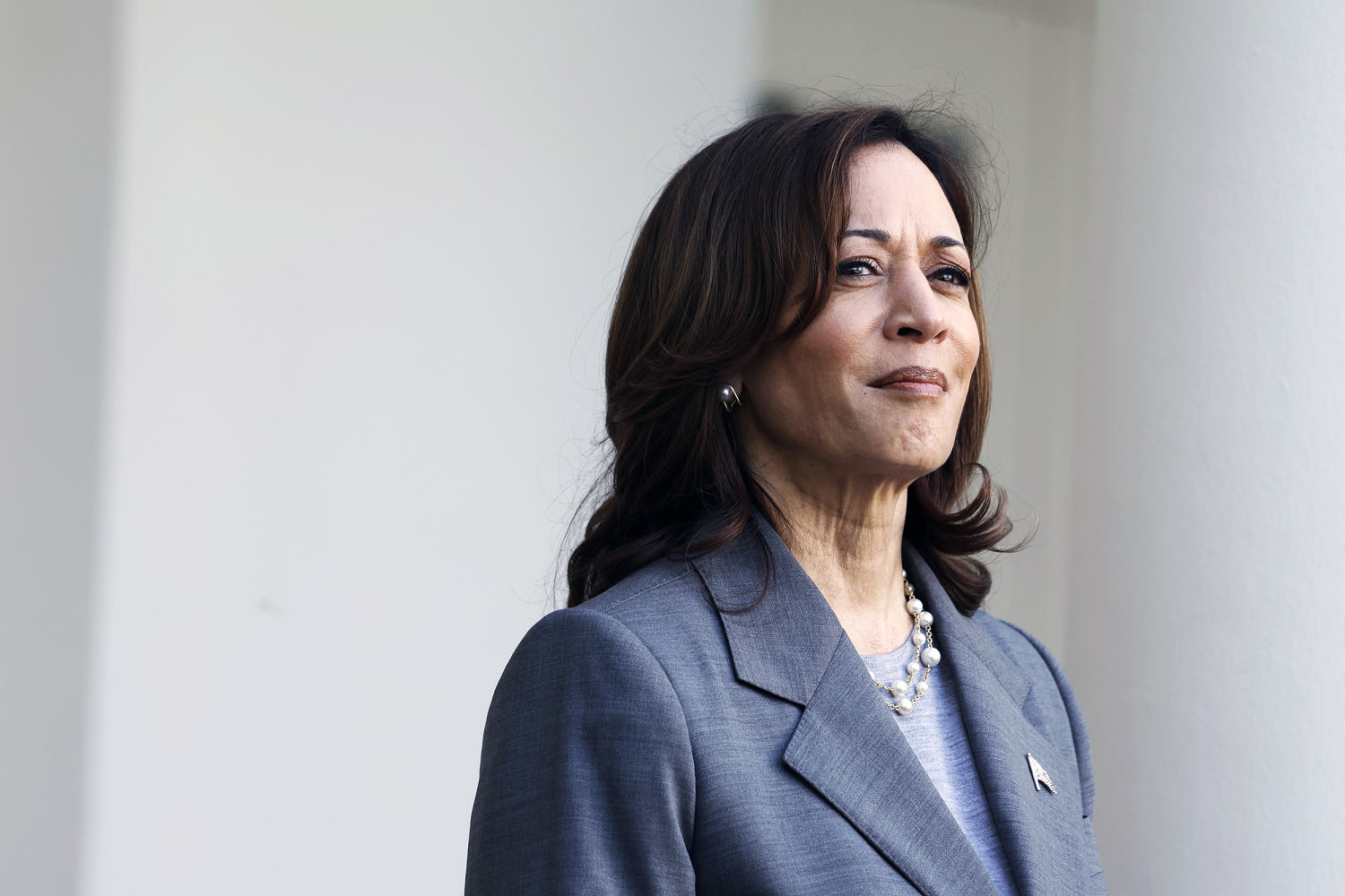 Kamala Harris' potential next move: A book