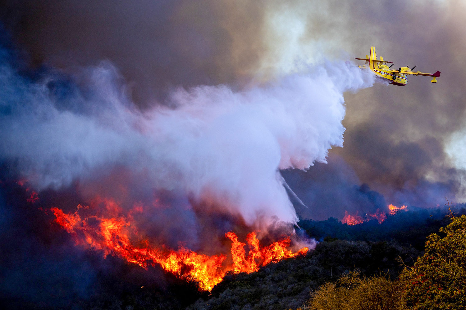 Super Scooper planes that fight wildfires are ‘rugged, reliable’ — and rare