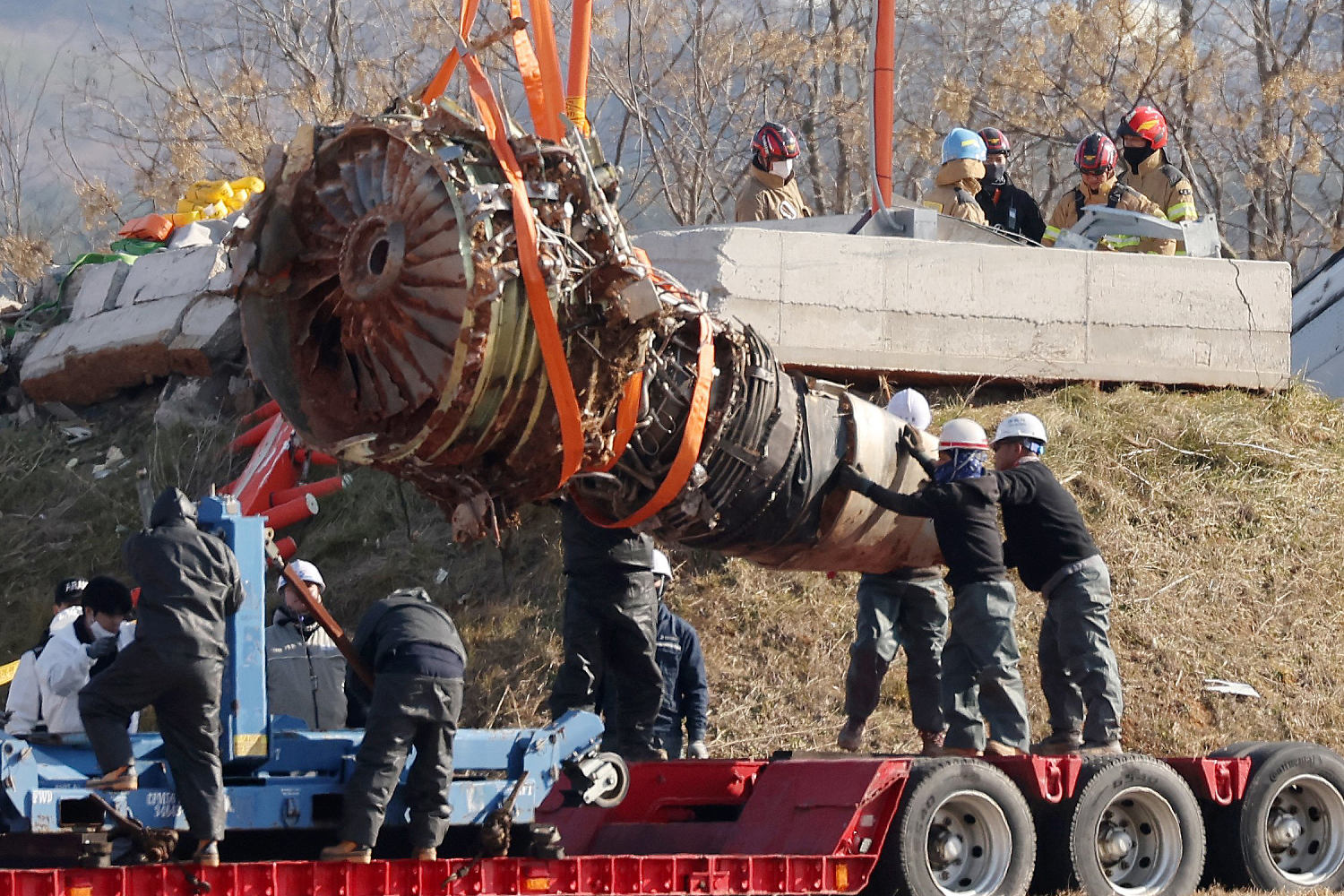 Bird feathers, blood found in both engines of crashed jet in South Korea, source says