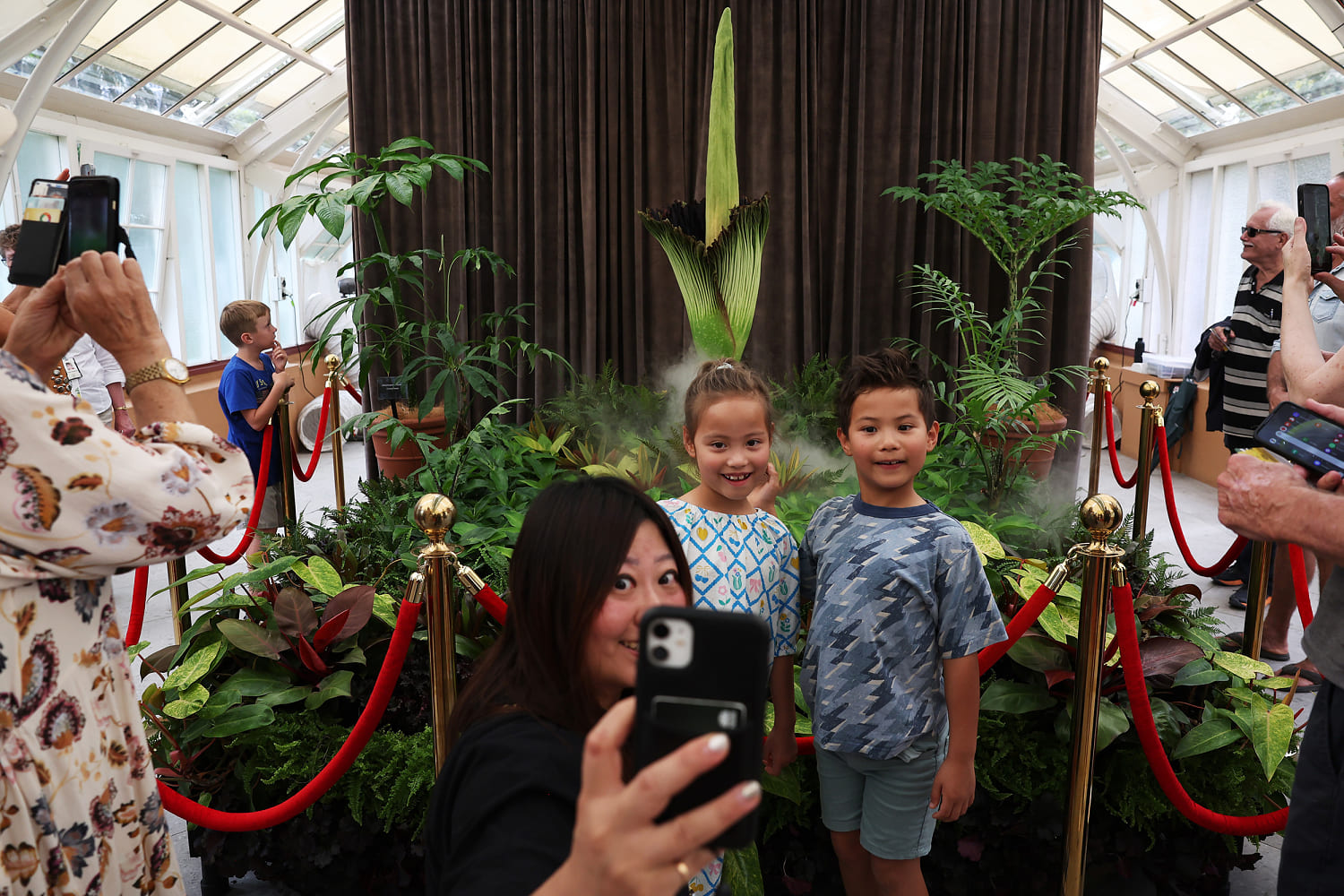 It’s big, it’s rare and it’s dead smelly: Visitors flock to see the ‘corpse flower’ in bloom