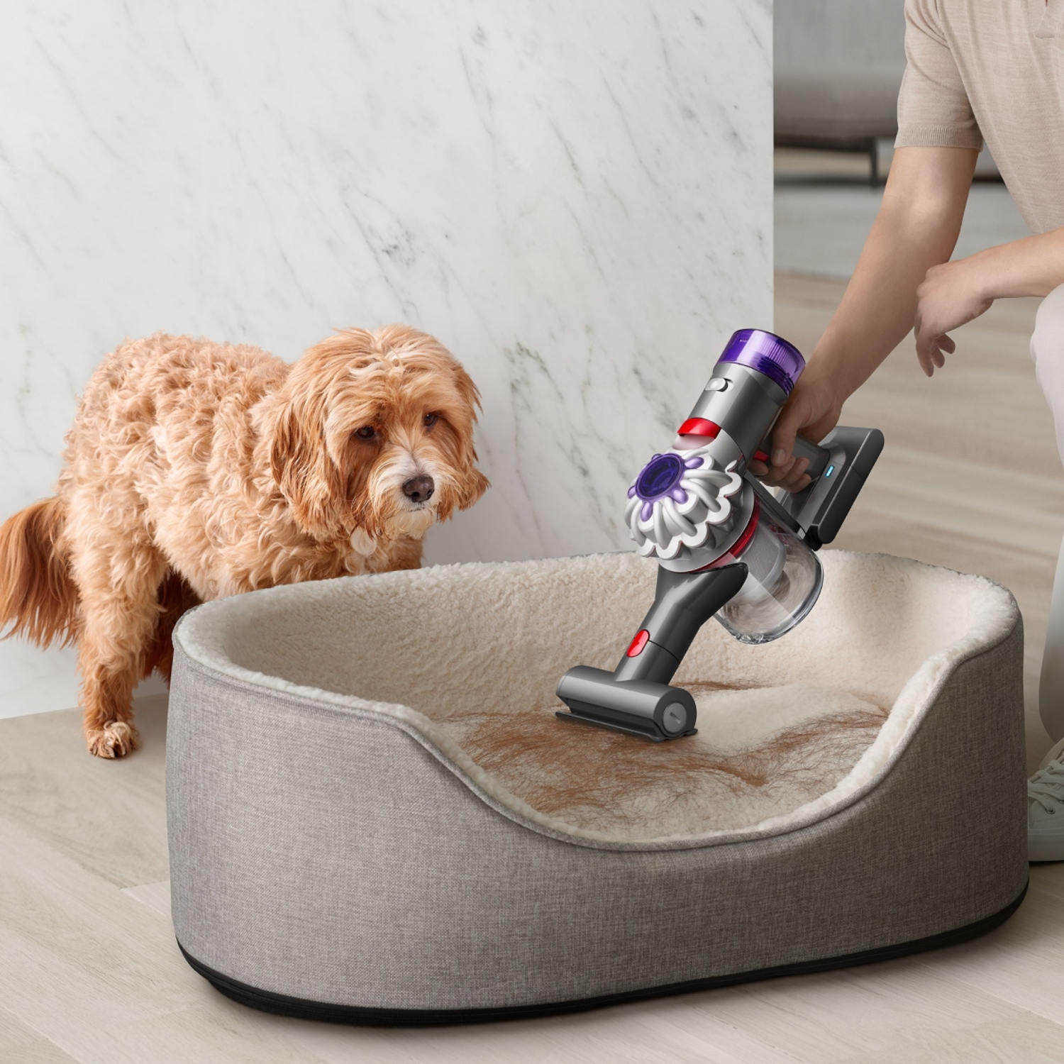 Dyson just launched a new handheld vacuum — here’s what to know