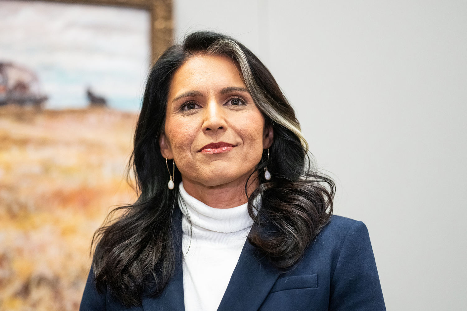 Tulsi Gabbard's flip-flop on surveillance program will be under the spotlight at hearing for DNI job