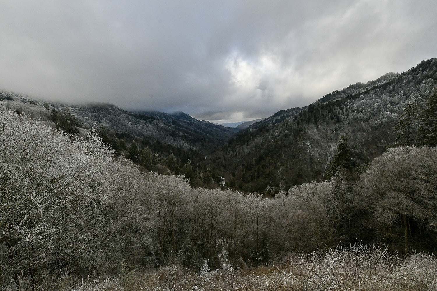 Beloved 73-year-old volunteer and hiker found dead in Great Smoky Mountains National Park