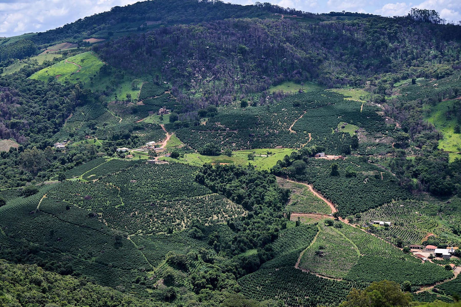 A global coffee price spike is about to drip into your mug