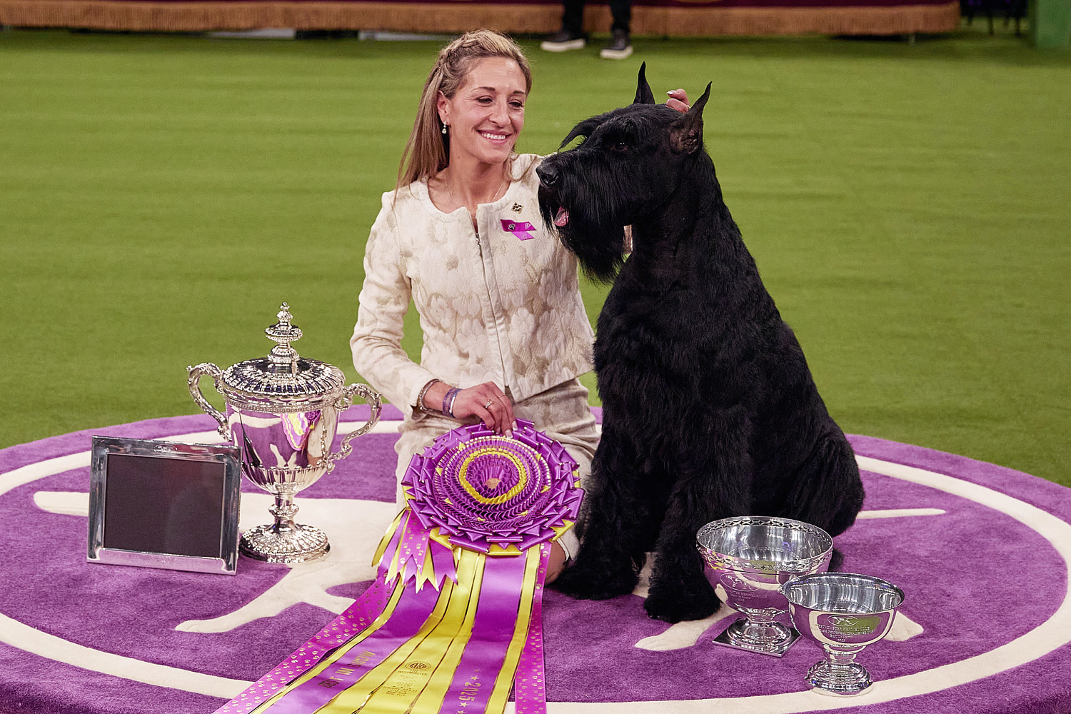 Monty the giant schnauzer wins Westminster dog show