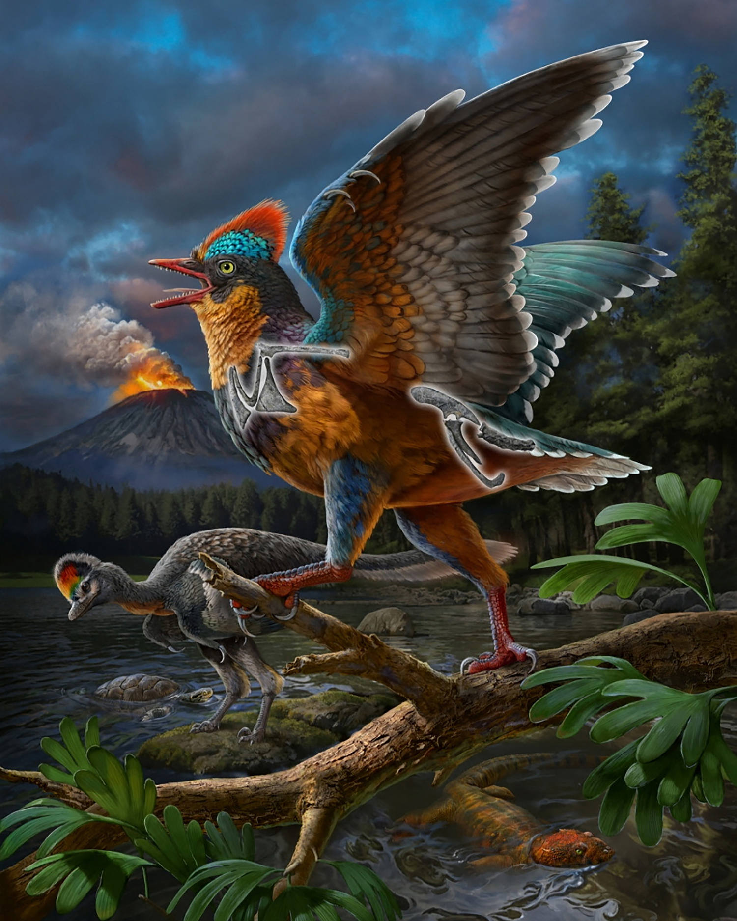 Chinese fossil of a Jurassic bird rewrites history of avian evolution