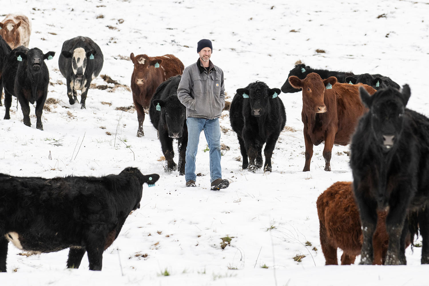 Growing pains: The next generation of farmers struggles to fit on preserved farmland