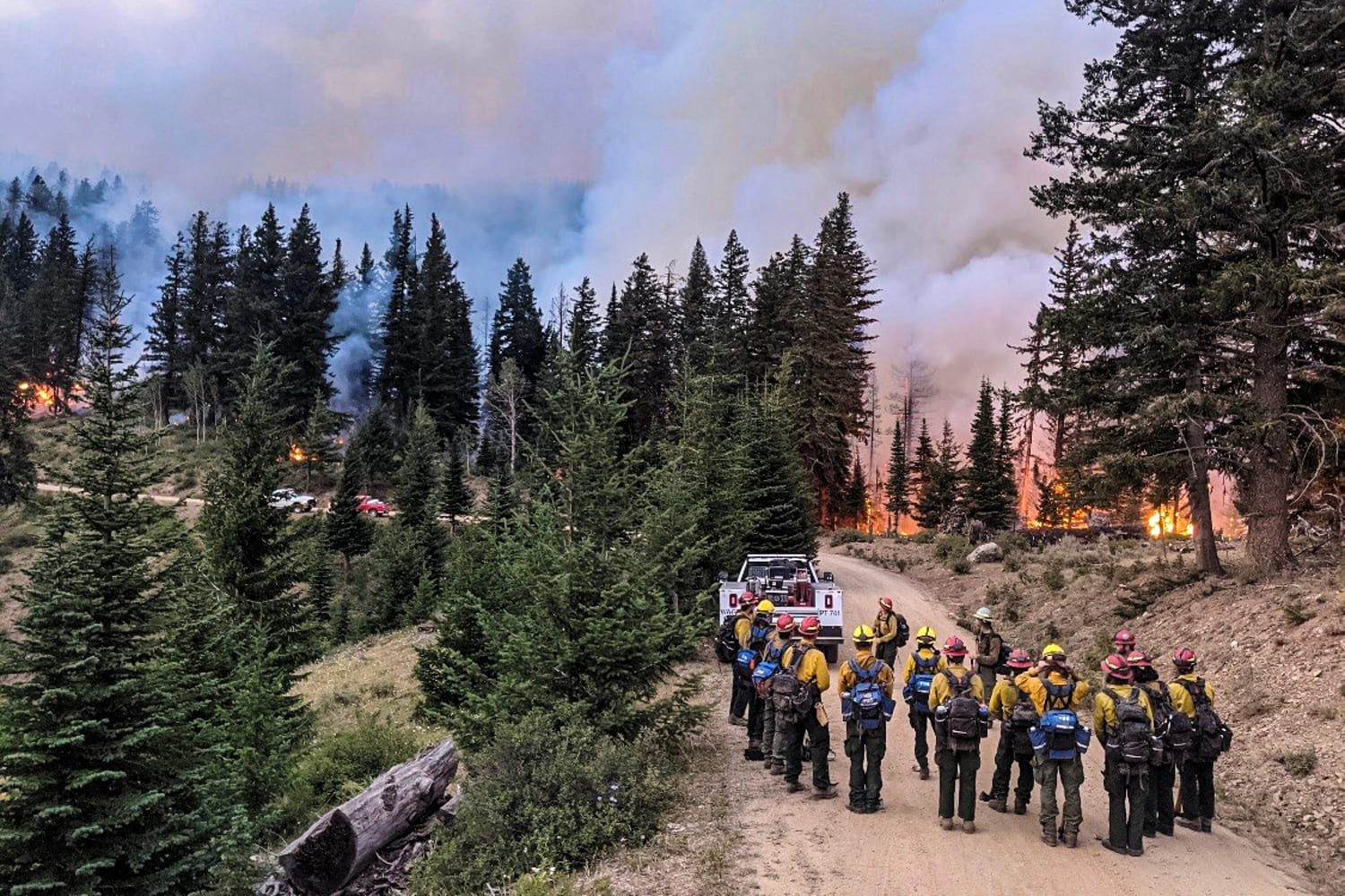 Hiring freeze of firefighters could be deadly, Forest Service captain warns