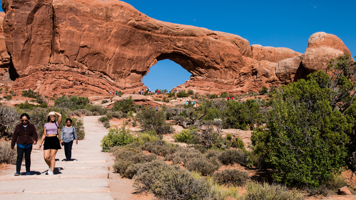 Trump job cuts could throw national parks and forests into 'staffing chaos'