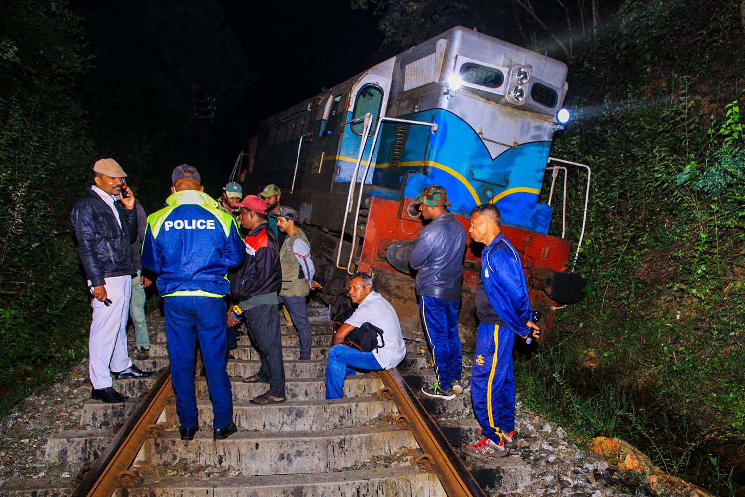 Train strikes elephant herd in Sri Lanka, killing 6 animals