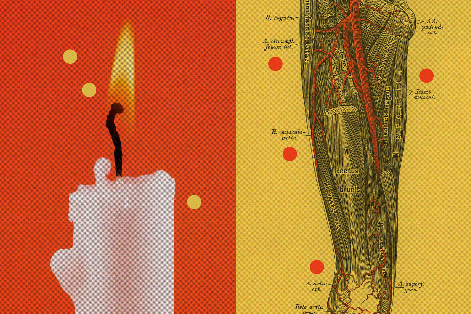 Inflammation is a ‘double-edged sword’: How to protect against chronic disease