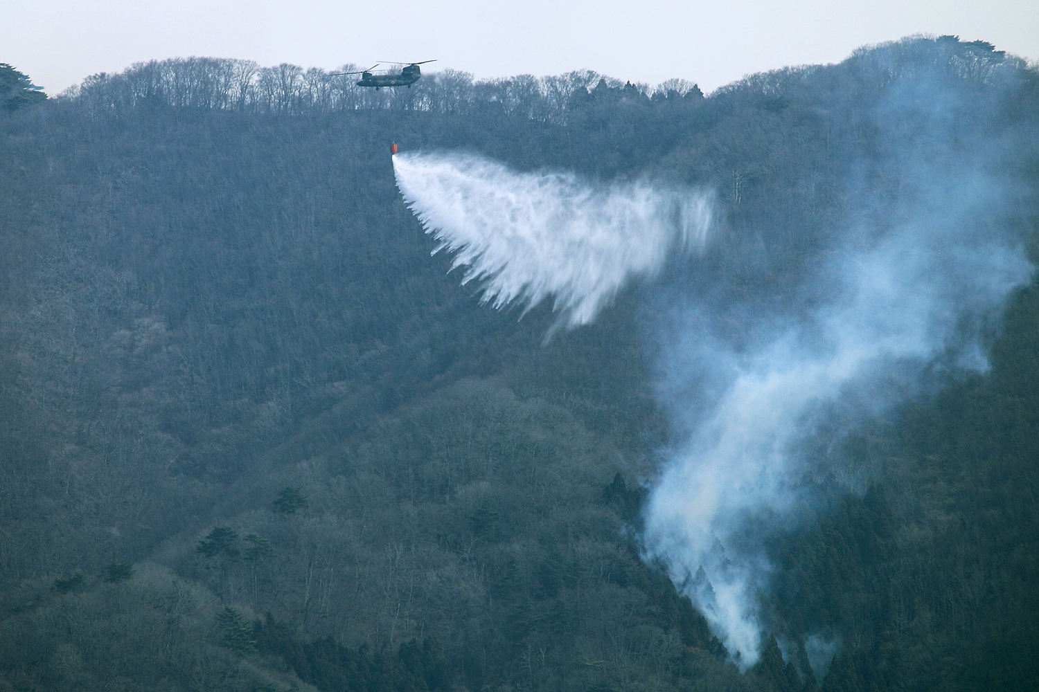 Japan fights a forest fire that has damaged dozens of homes and caused hundreds to evacuate