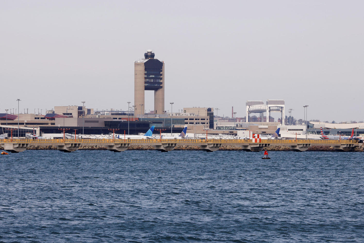 Woman stung by scorpion while getting luggage at Boston's Logan Airport