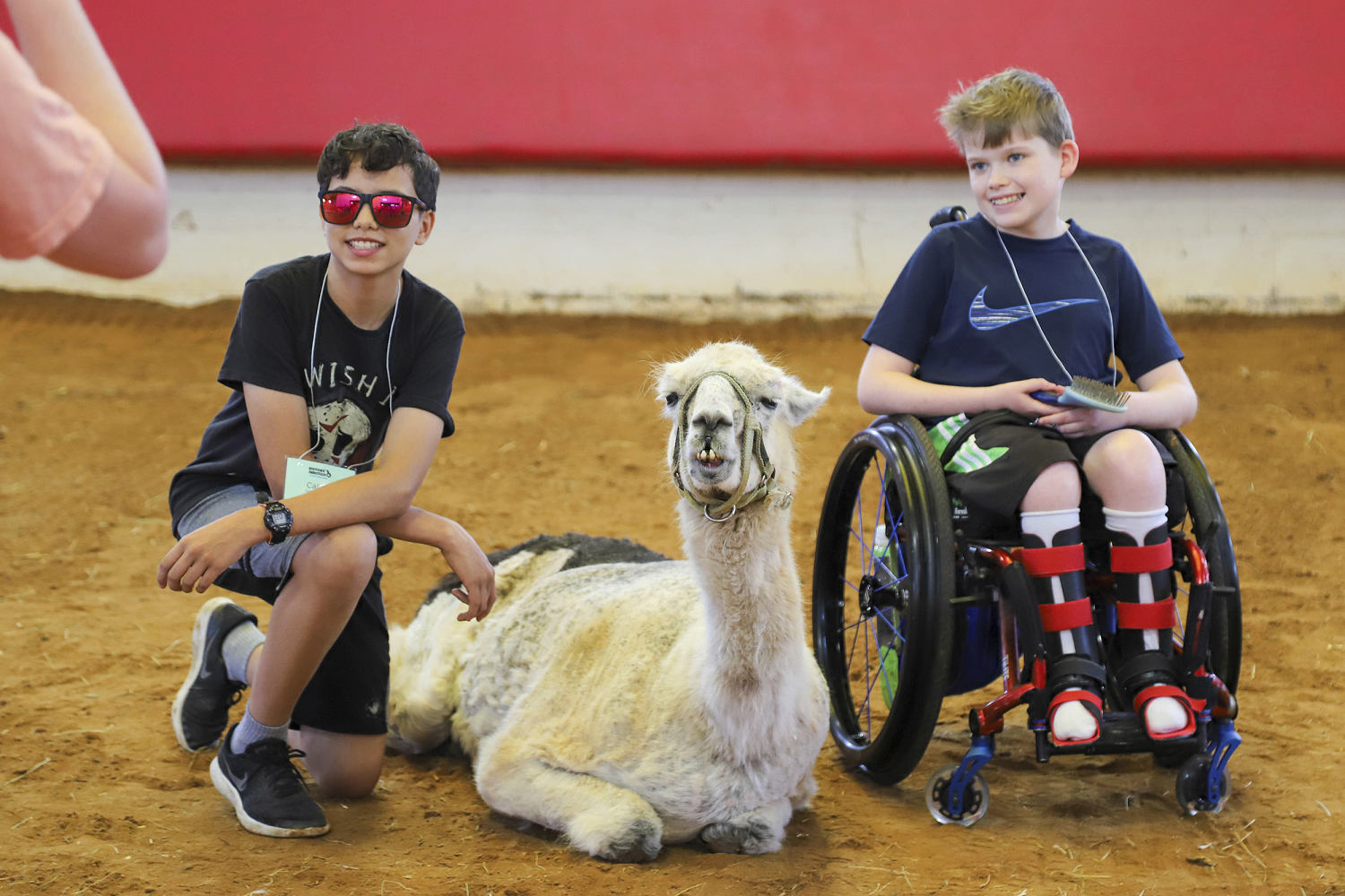 World’s oldest llama enjoys comforting chronically ill children in North Carolina