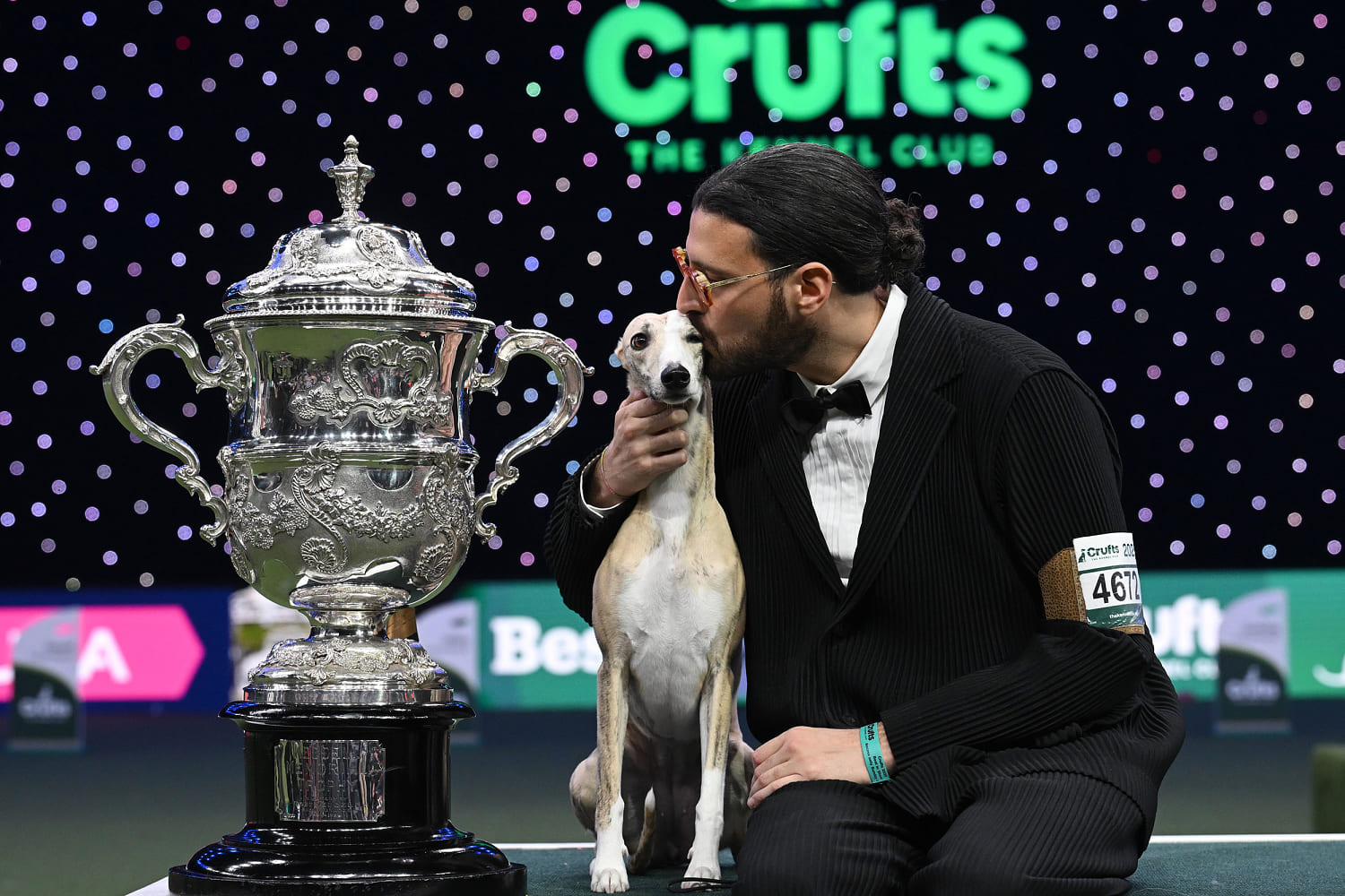 Miuccia the Italian whippet named Best in Show at Crufts