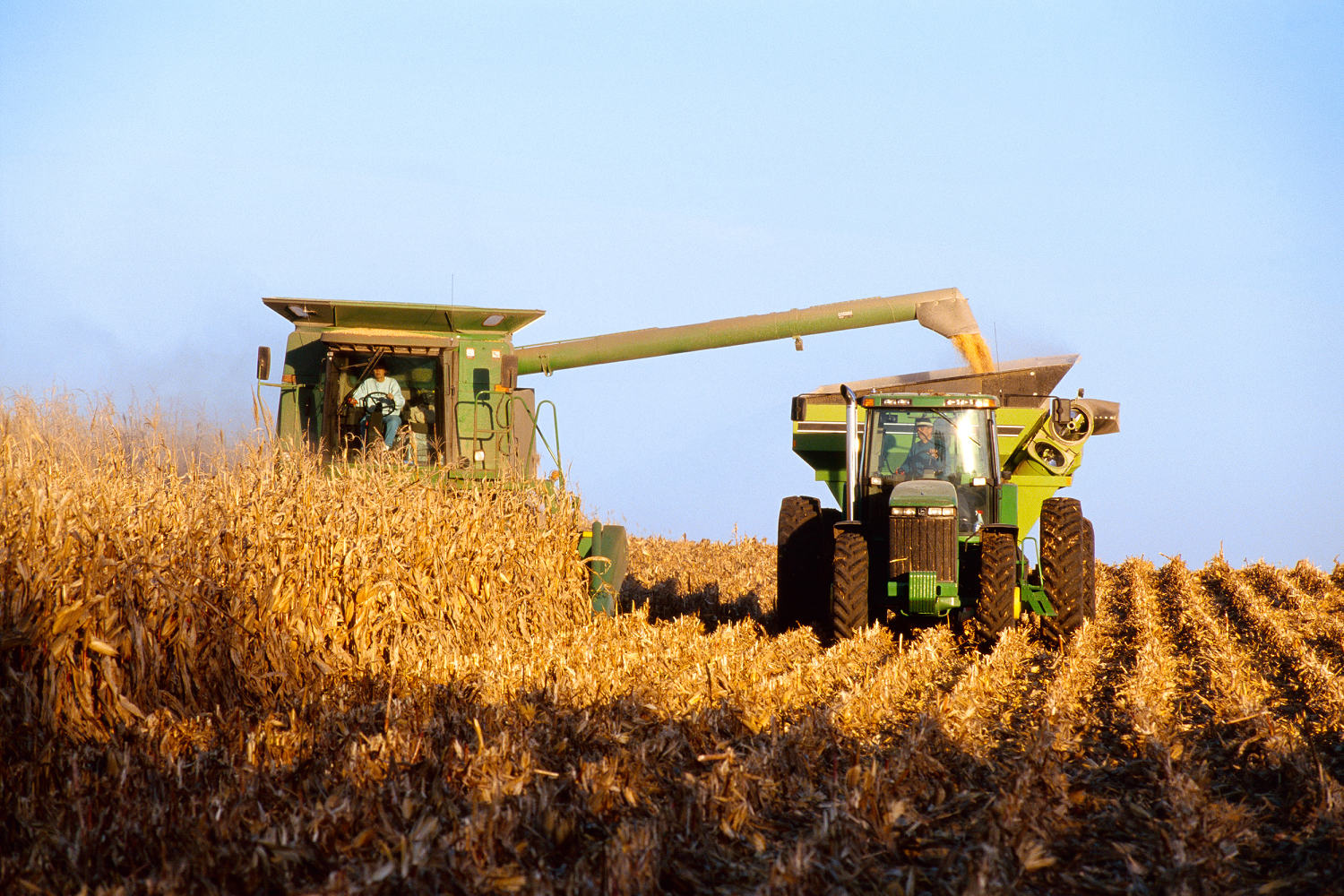 Farmers face steep losses in the middle of Trump's trade war and funding cuts