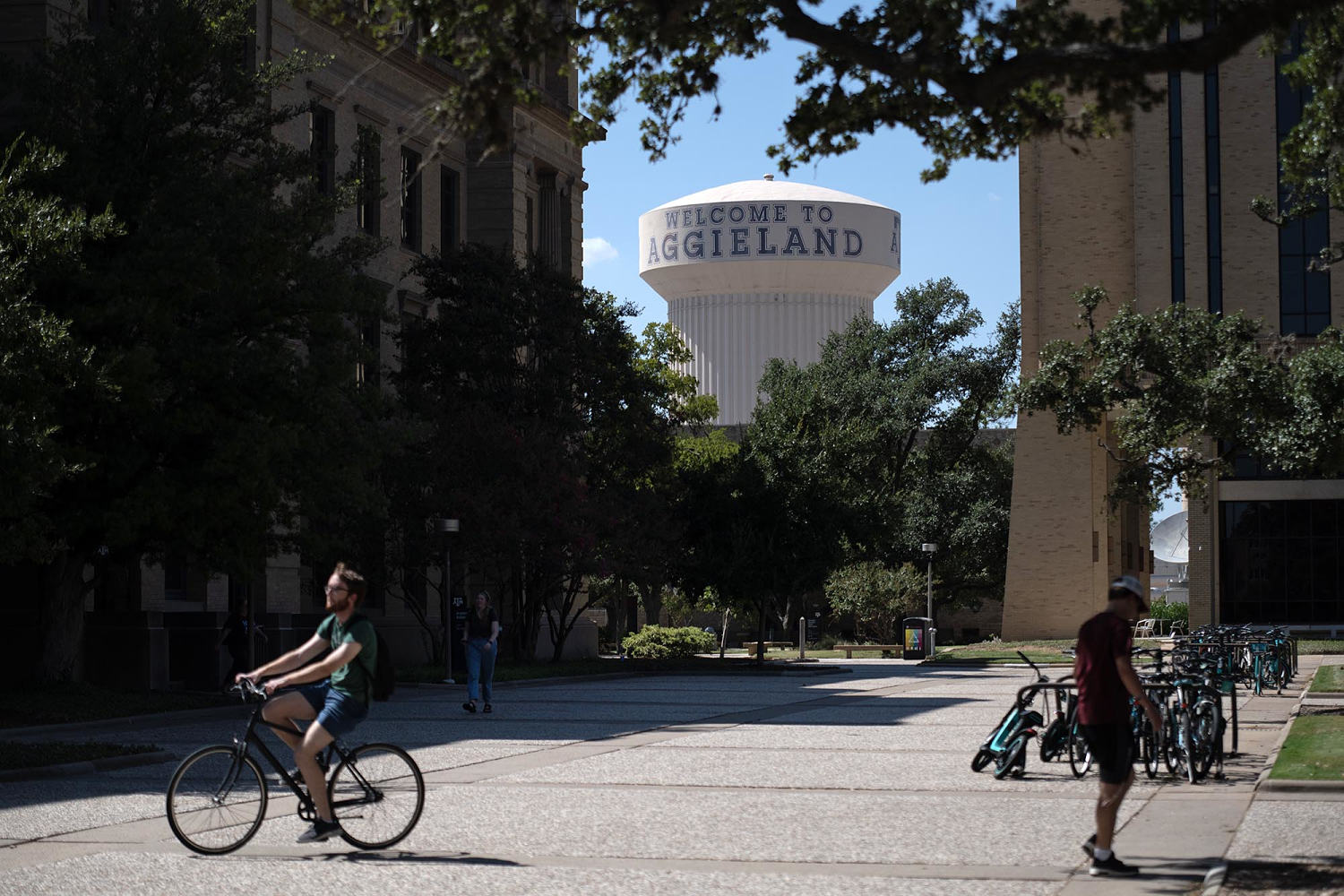 Judge blocks Texas A&M University’s drag ban