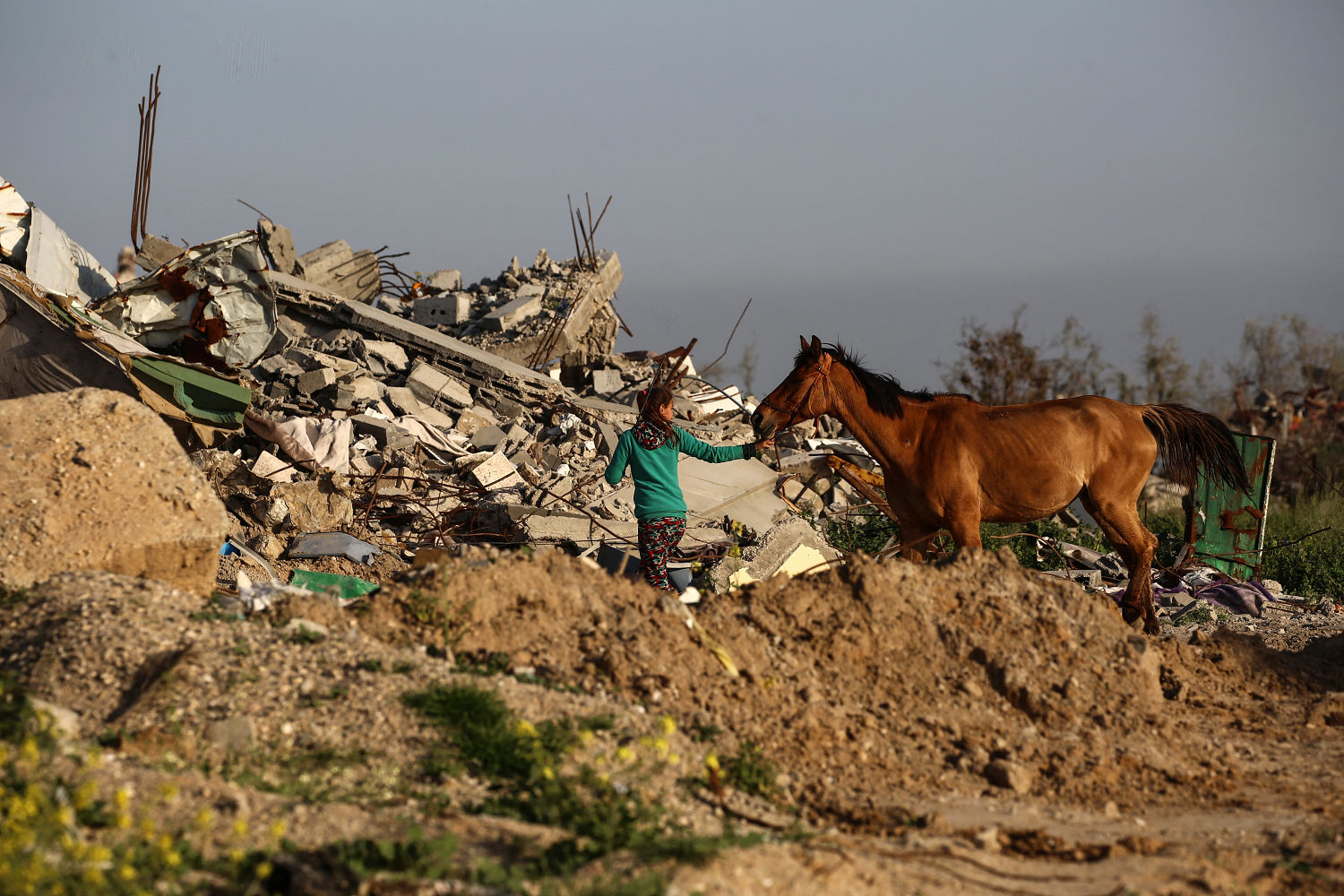 Four boys killed by an Israeli drone strike in Gaza