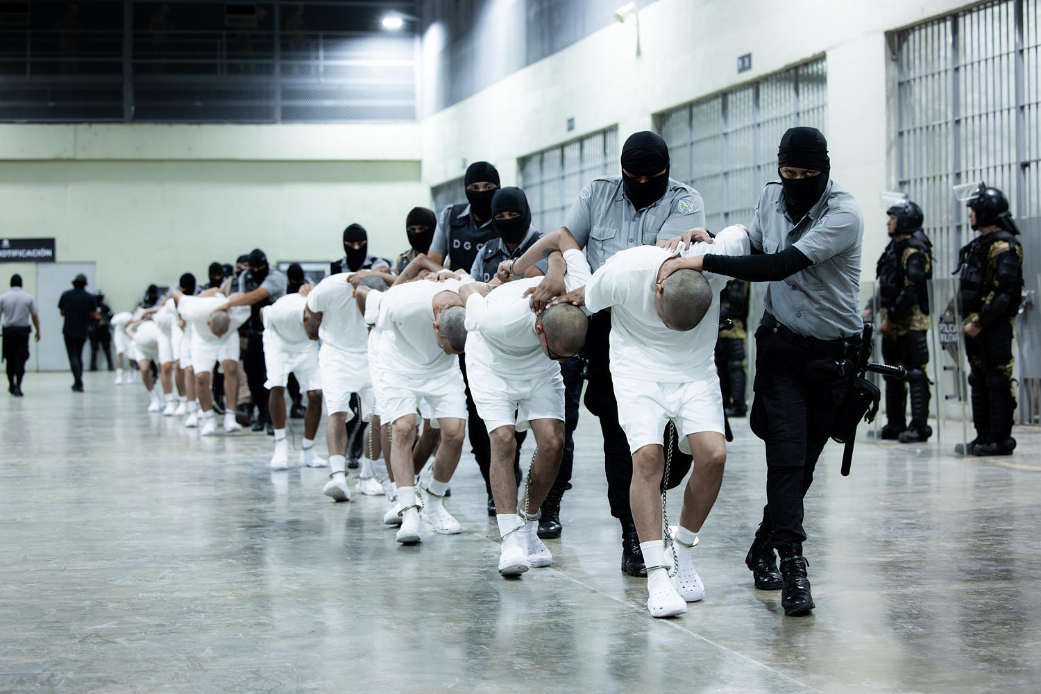 Trump's words undermine DOJ's argument regarding men deported to El Salvador's CECOT