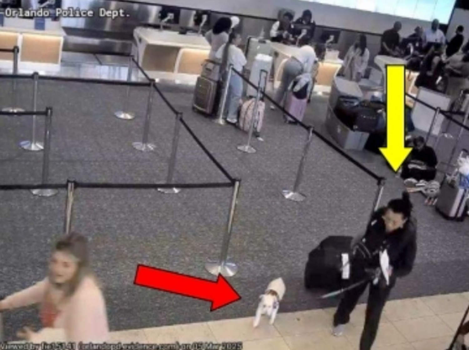 Woman accused of drowning dog in Orlando airport bathroom so she could board plane