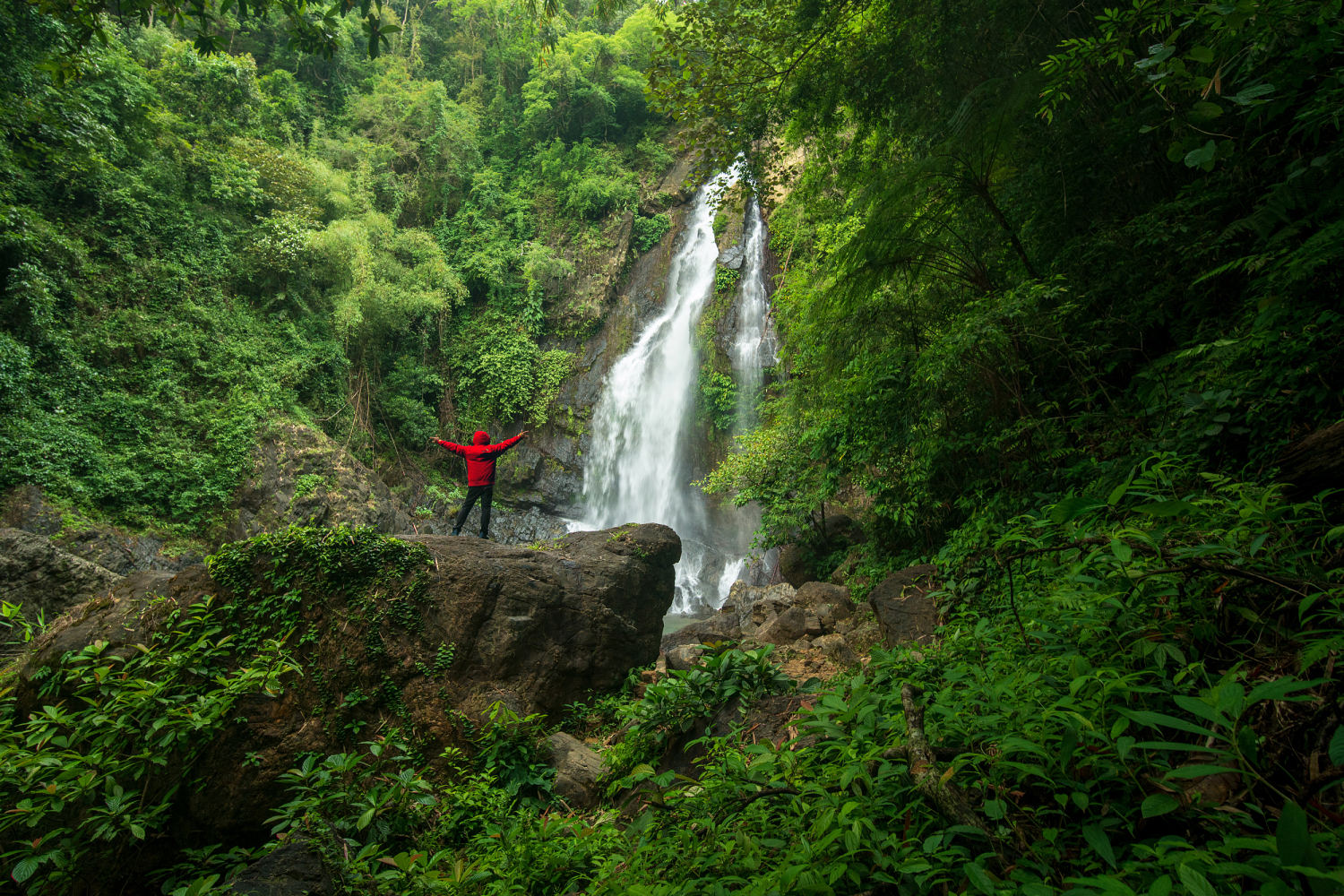 25 Earth Day Facts That Might Surprise You