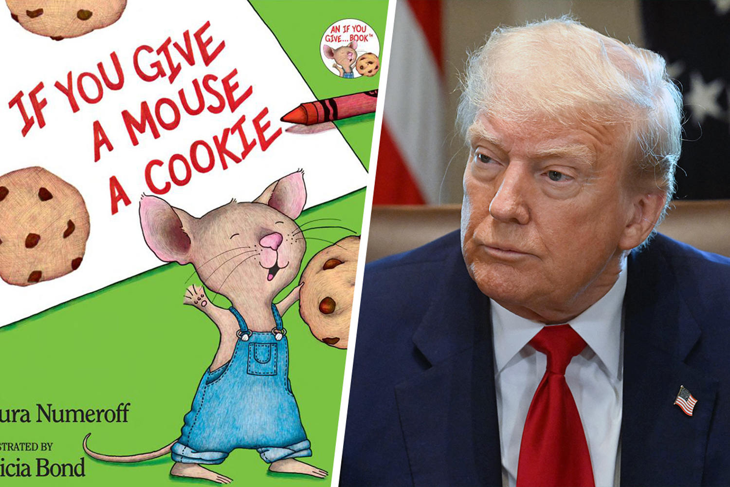 The children’s book that explains the Trump White House