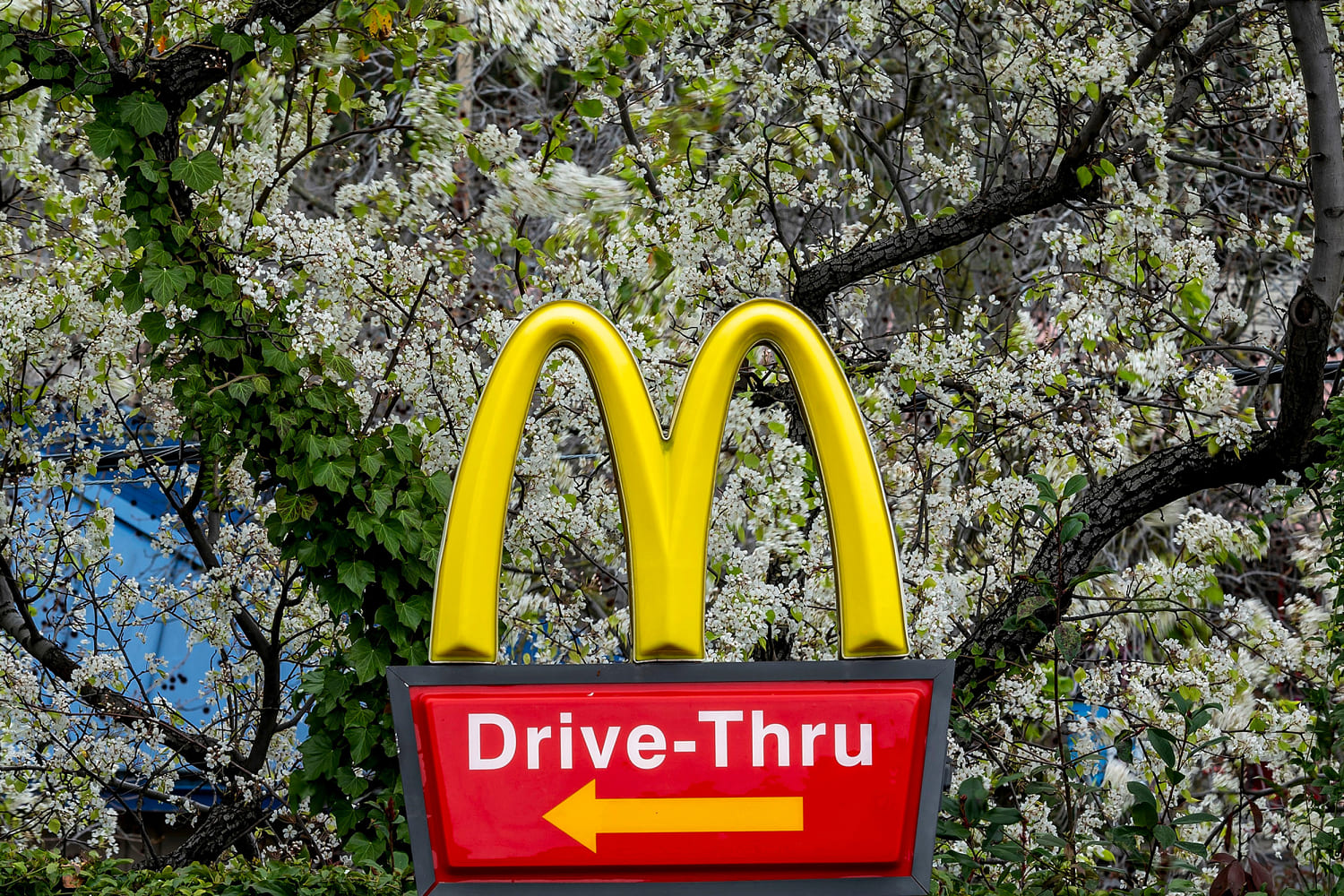McDonald's announces plan to hire 375,000 employees this summer