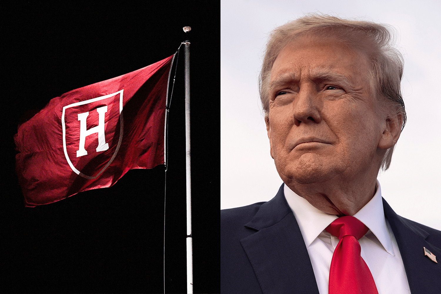 The unseen costs of Trump’s unrelenting crusade against Harvard students